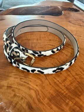Ann Taylor Leopard Print Skinny Belt with Gold Buckle